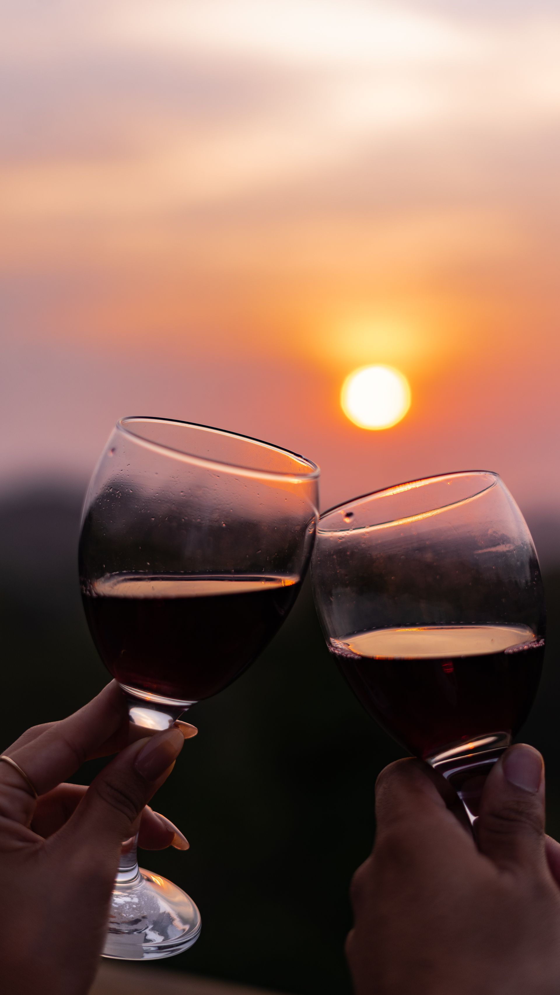 Two people are toasting with wine glasses at sunset.