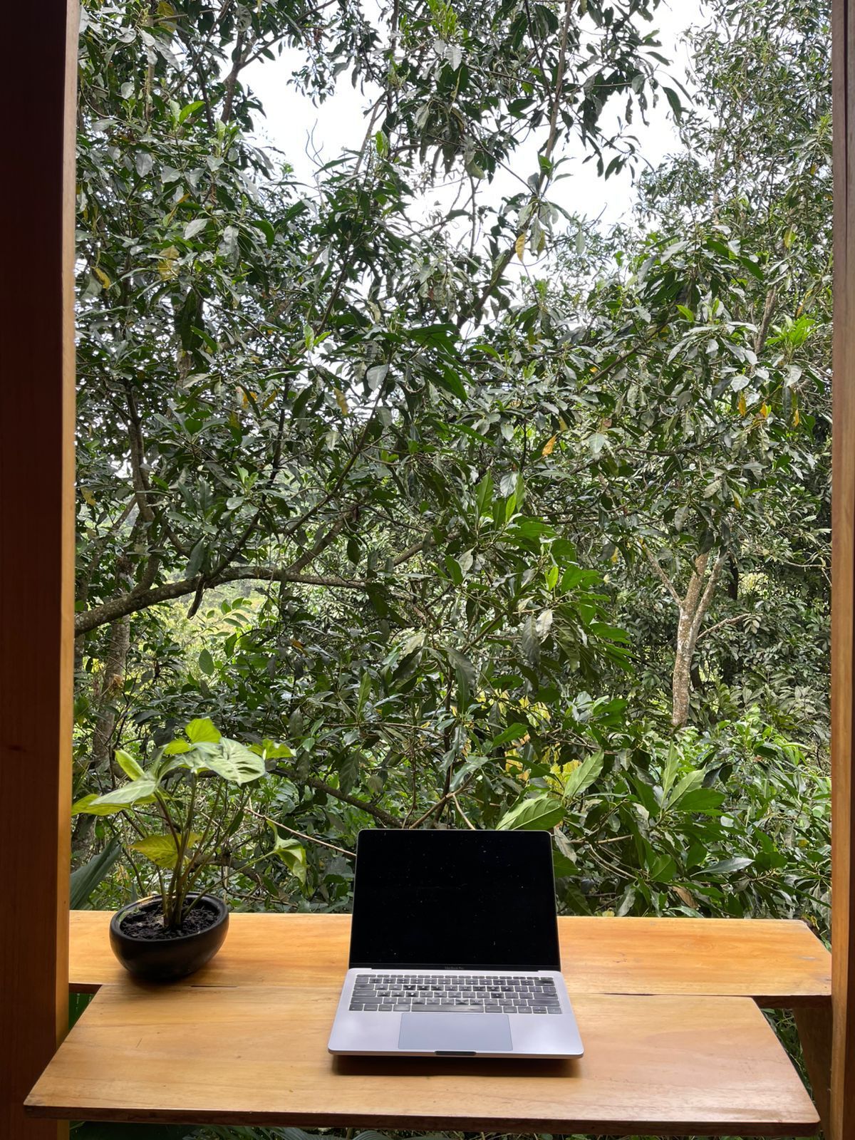 A laptop is sitting on a wooden desk in front of a window with trees in the background.