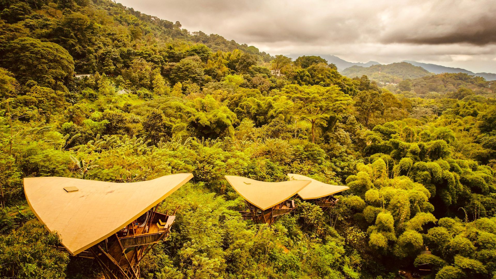 An aerial view of a house in the middle of a lush green forest.