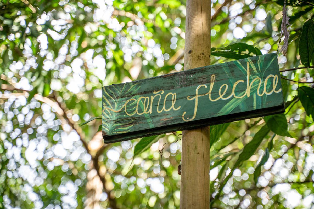 A green sign is hanging from a wooden pole in the woods.