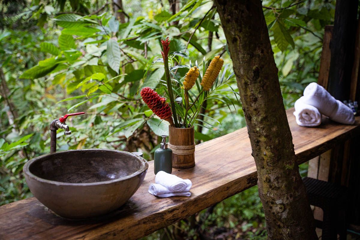 A sink is sitting on a wooden shelf next to a tree.