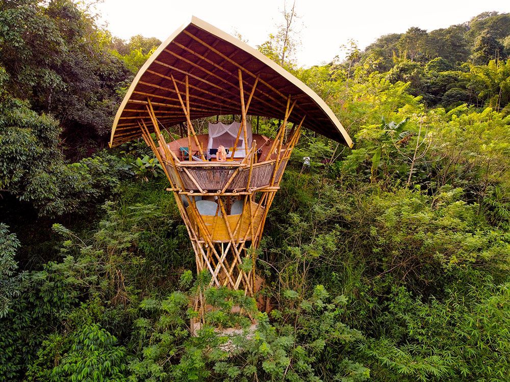An aerial view of a tree house in the middle of a forest.