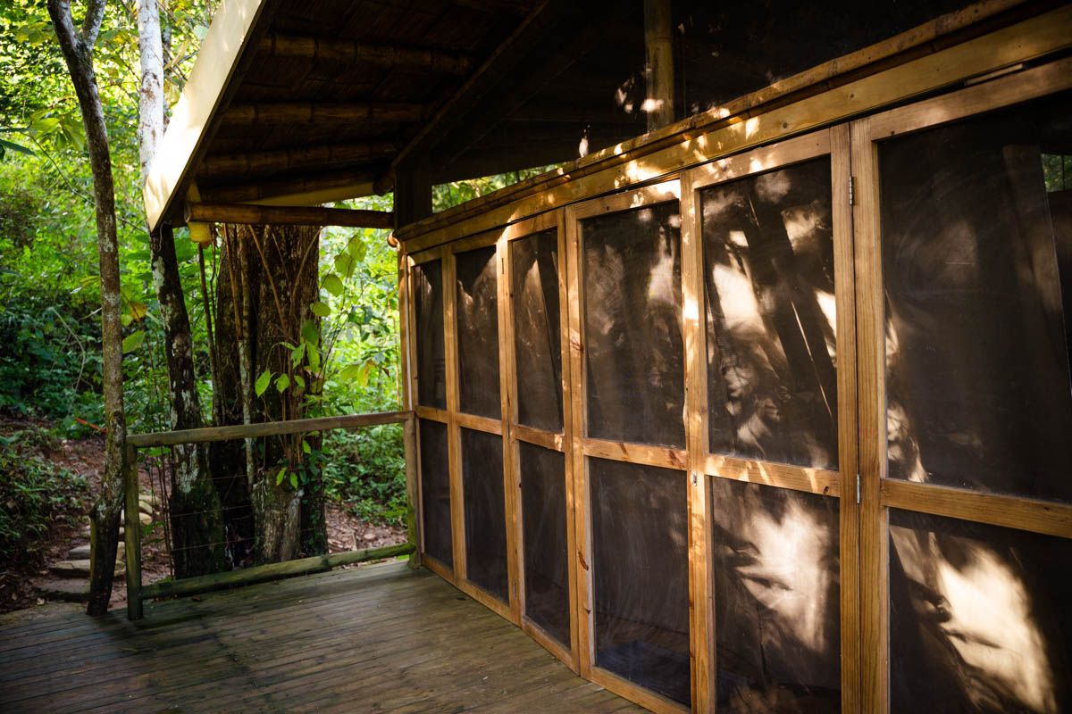 A screened in porch in the woods with trees in the background.