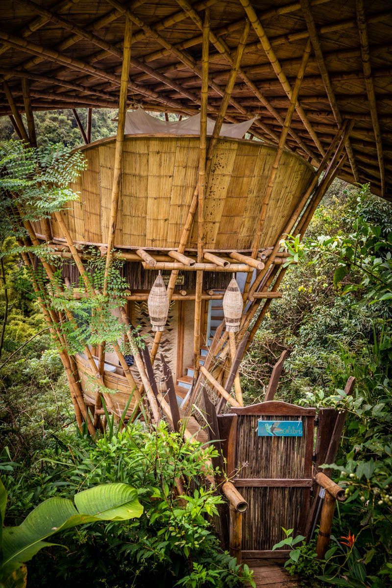 A tree house made of bamboo in the middle of a forest.