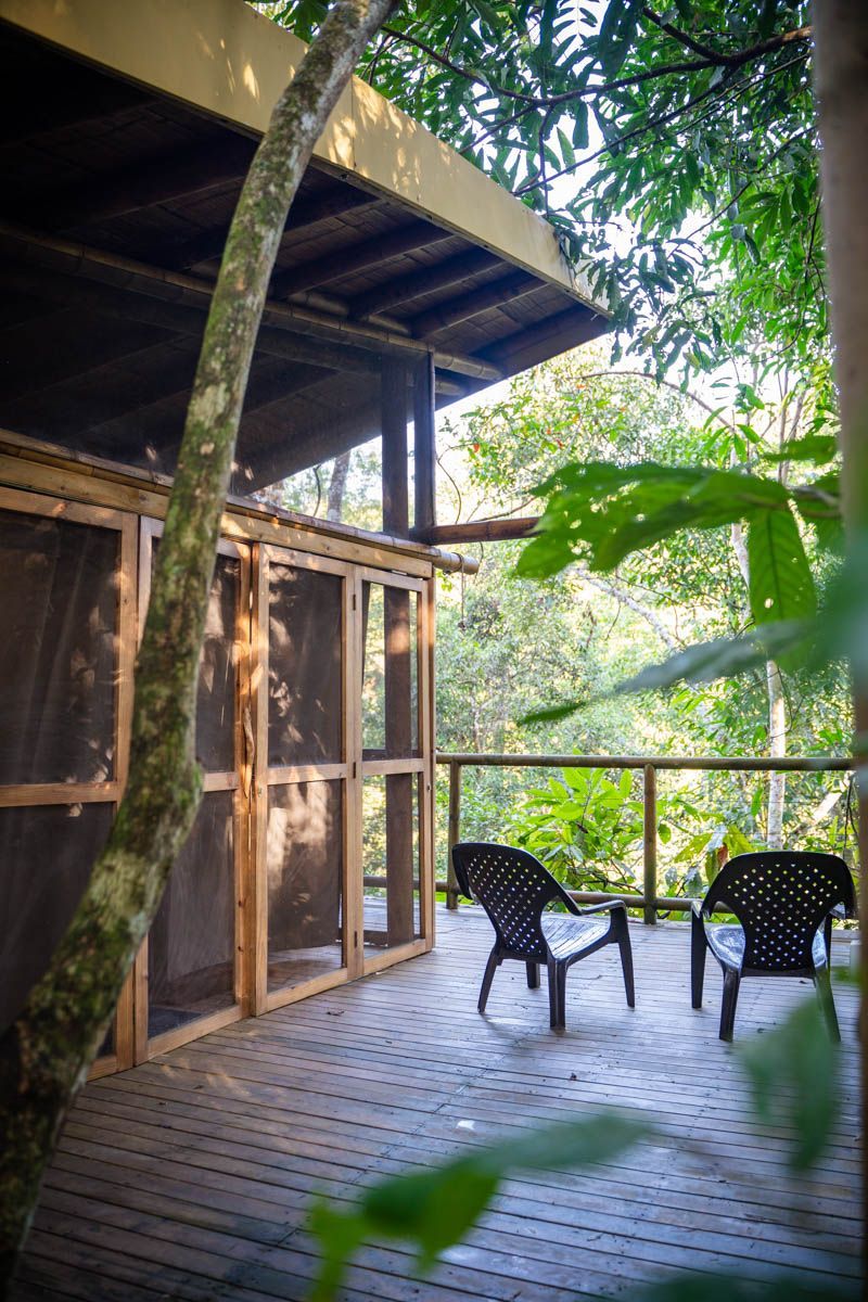 A wooden deck with chairs and a screened in porch surrounded by trees.