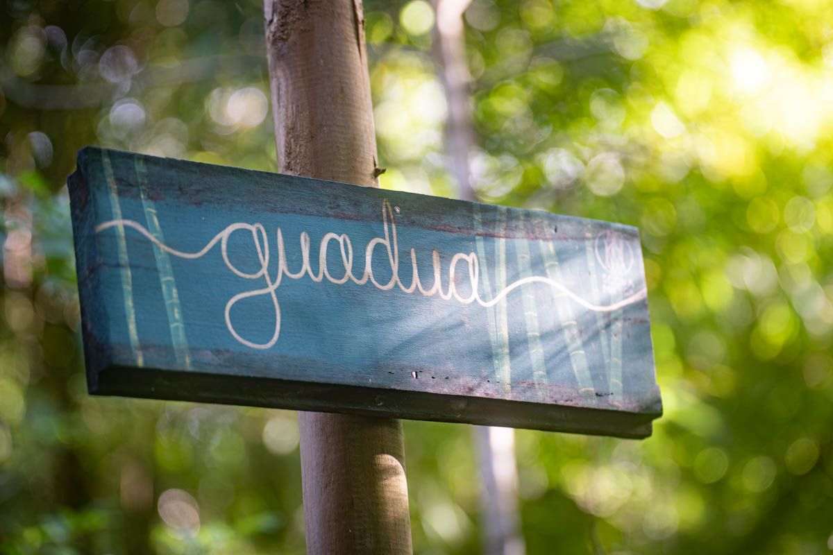 A wooden sign is hanging from a tree in the woods.