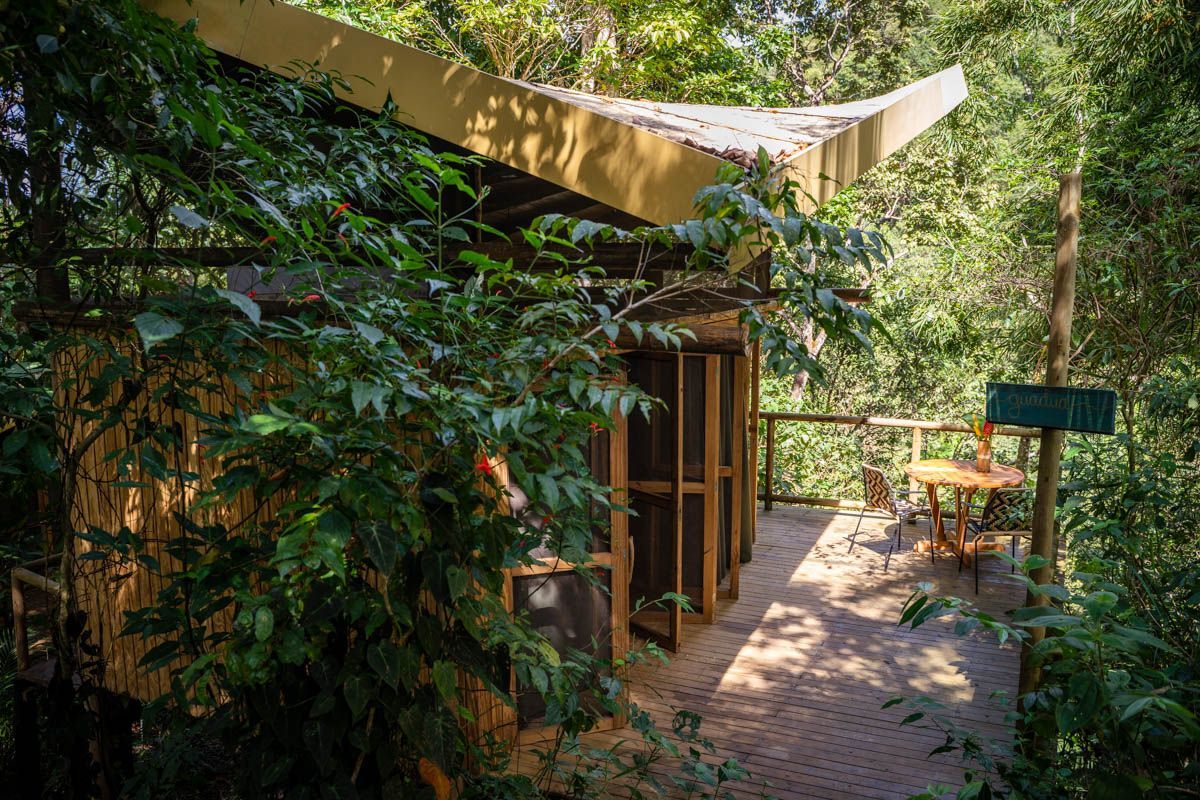 A small house in the middle of a forest surrounded by trees.