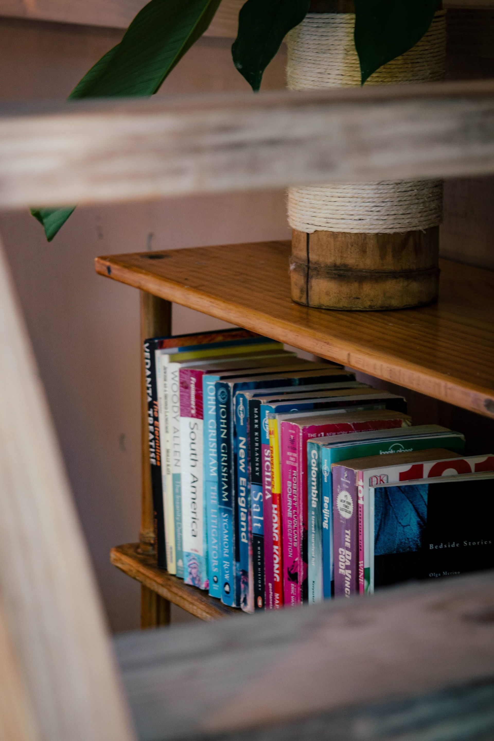 A wooden shelf filled with books and a plant.