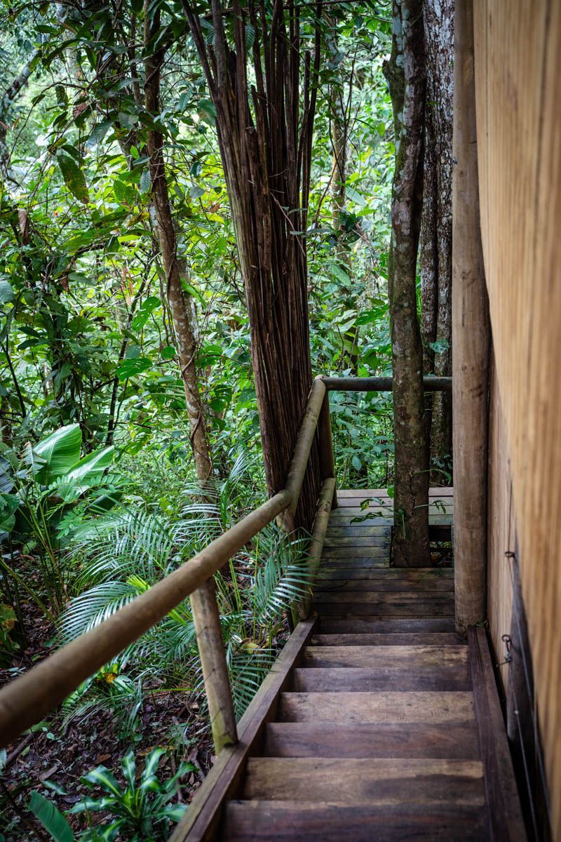 A wooden staircase leading up to a house in the woods.