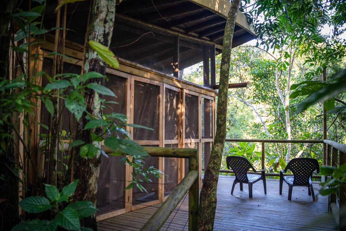 A screened in porch with chairs and a table in the woods.