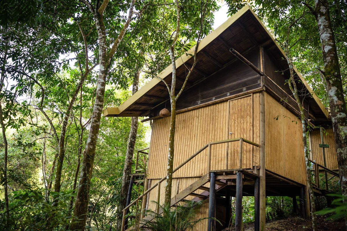 A small wooden house in the middle of a forest