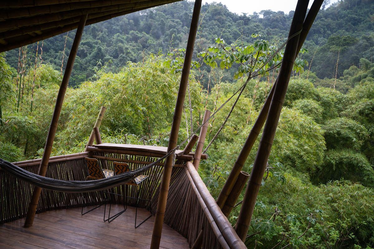 A balcony with a hammock and chairs overlooking a lush green forest.