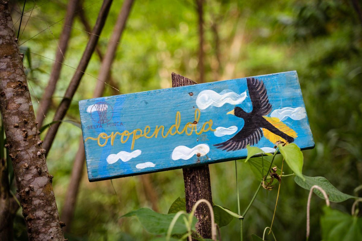 A blue sign with a bird on it is hanging from a tree in the woods.