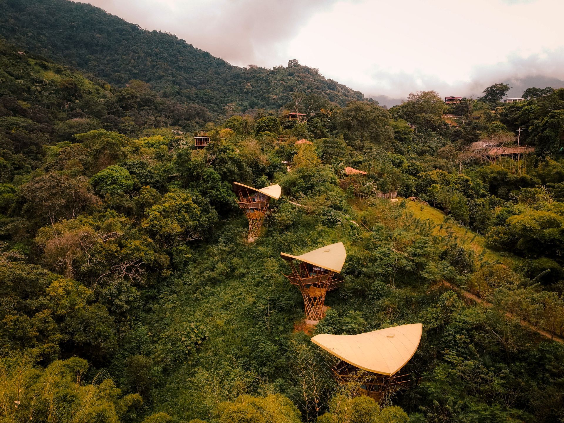 An aerial view of a house in the middle of a lush green forest.