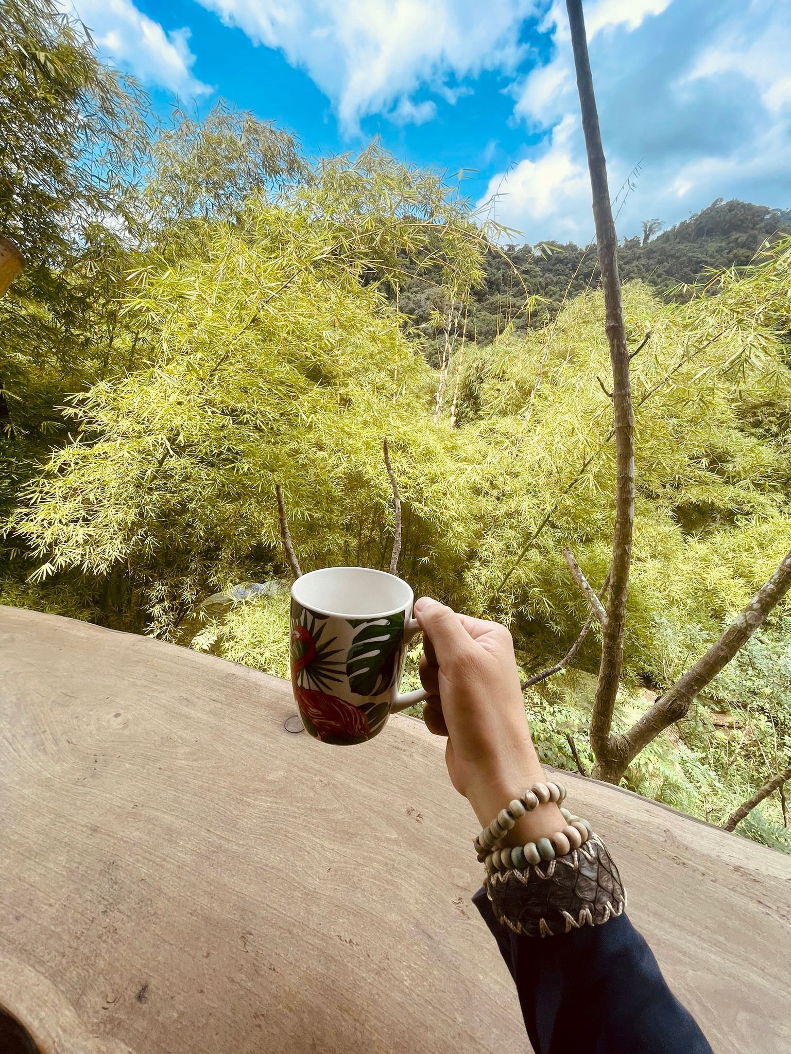 A person is holding a cup of coffee on a balcony overlooking a forest.