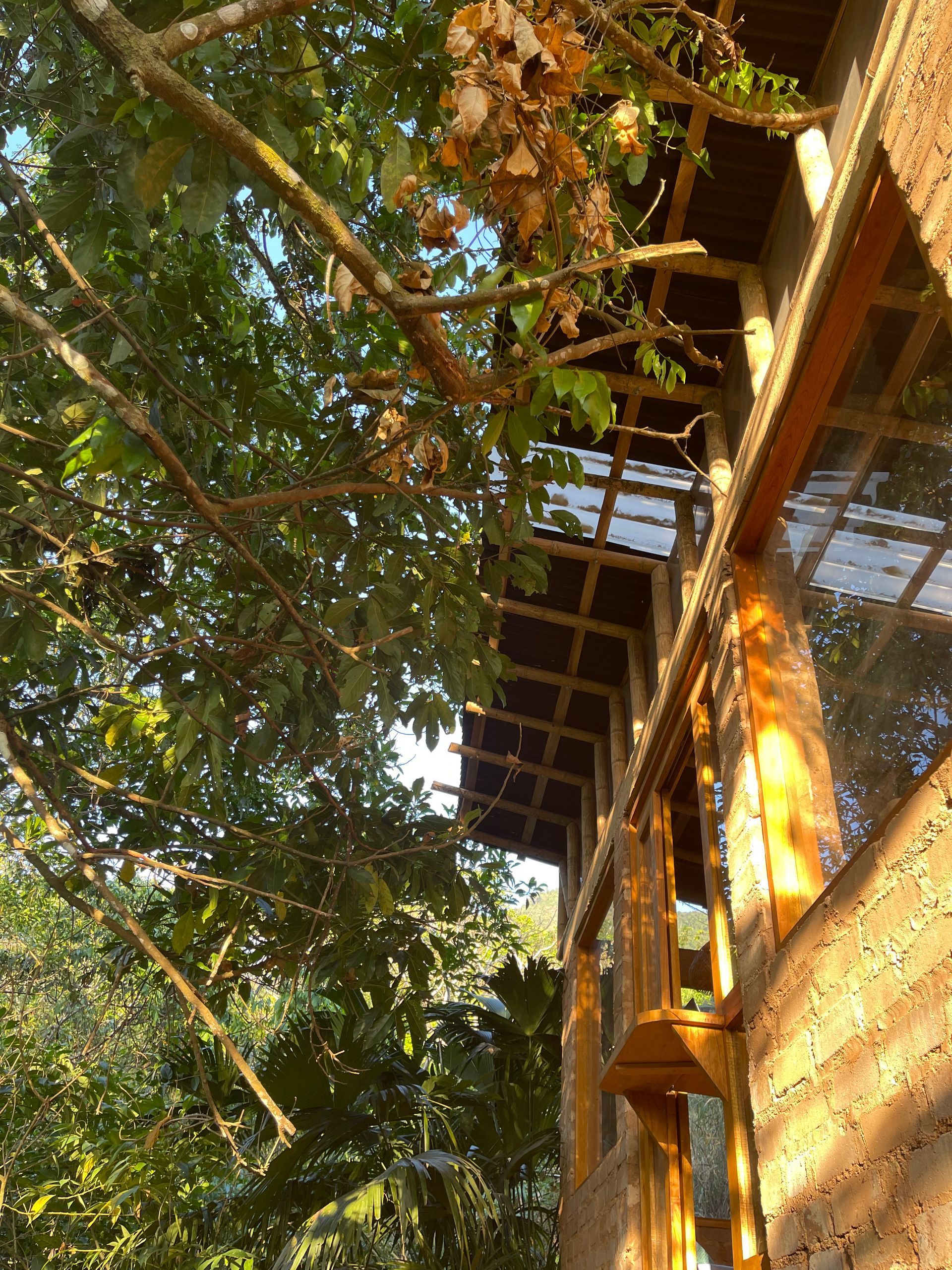 A building with a lot of windows is surrounded by trees