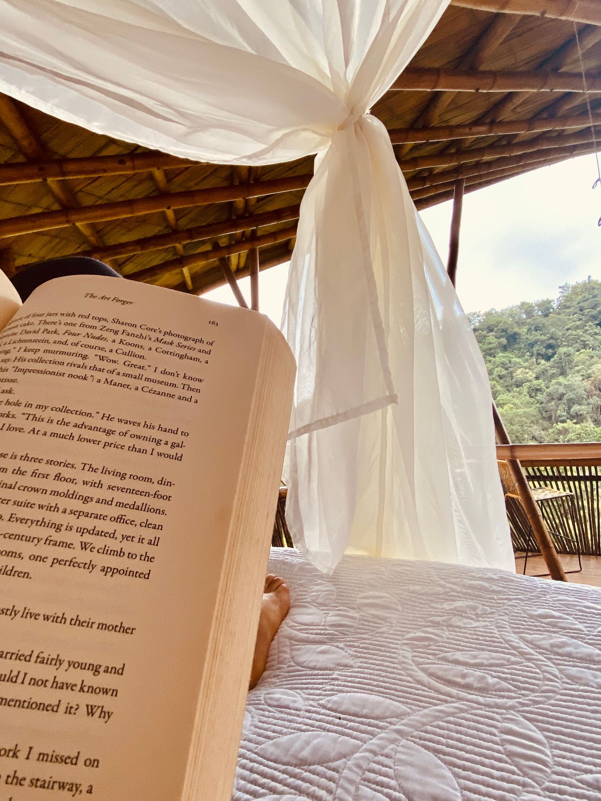 A person is reading a book on a bed under a canopy.