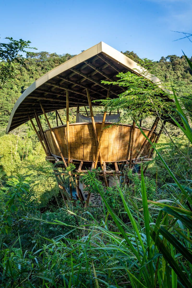 A wooden hut is sitting in the middle of a lush green forest.