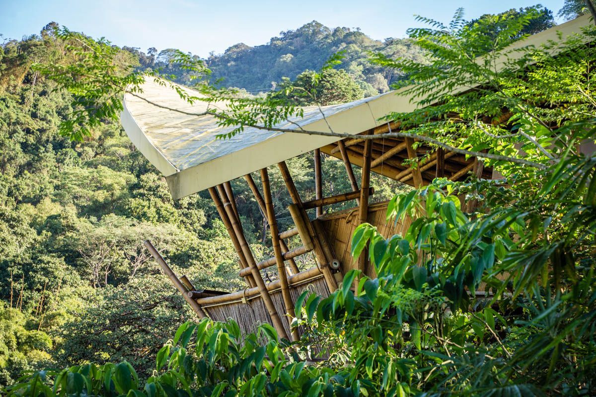 A wooden structure is surrounded by trees in the middle of a forest.
