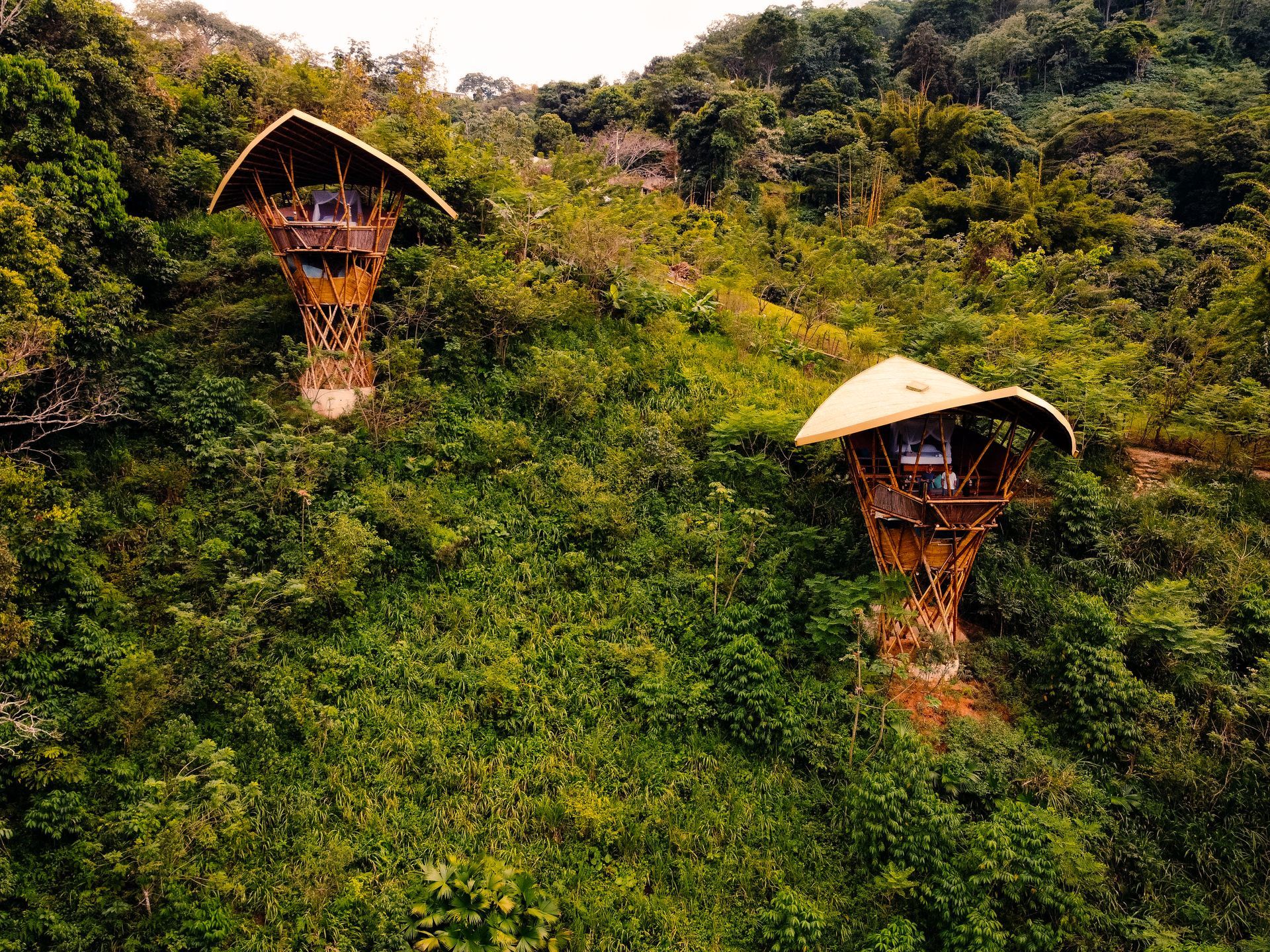 A couple of houses sitting on top of a hill surrounded by trees.