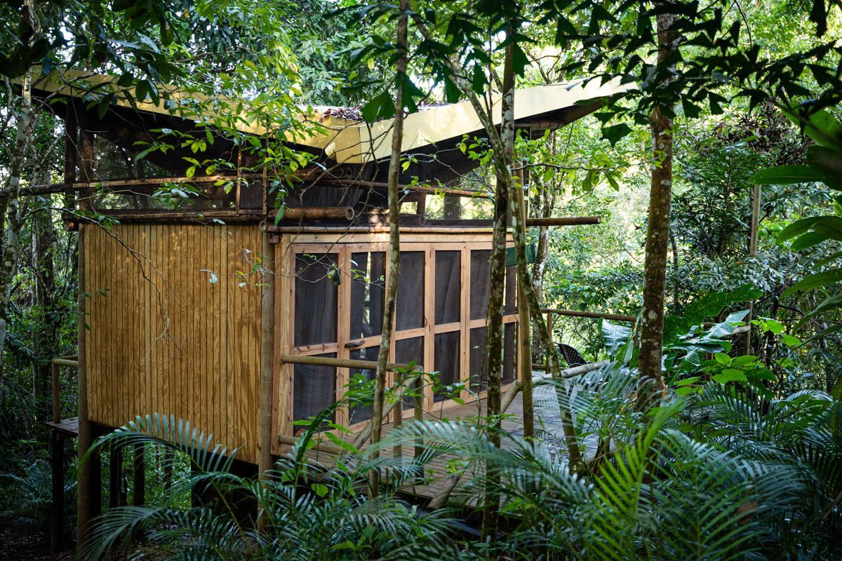 A small wooden house in the middle of a lush green forest.