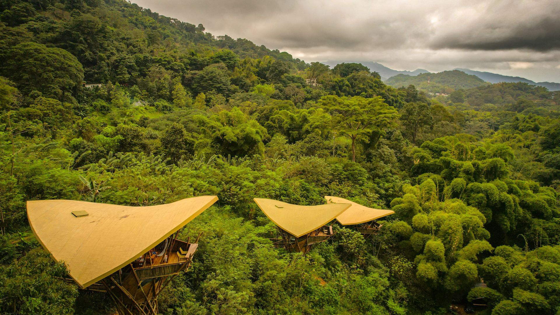An aerial view of a house in the middle of a lush green forest.