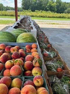 Summer Box