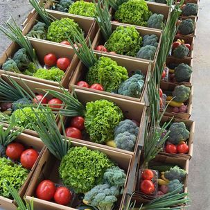 Spring Box