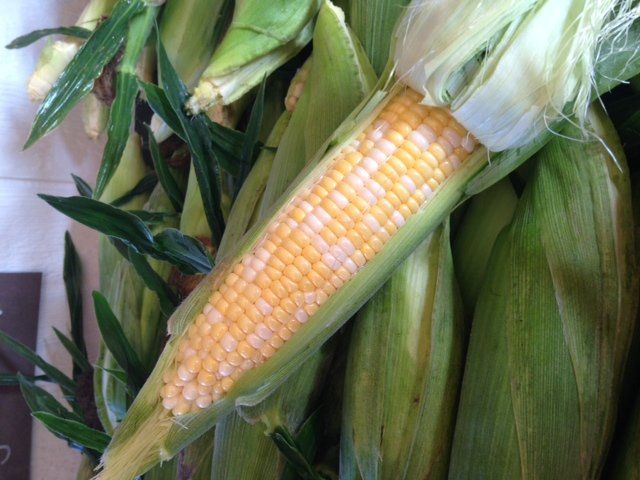 Sweet Corn YUM!