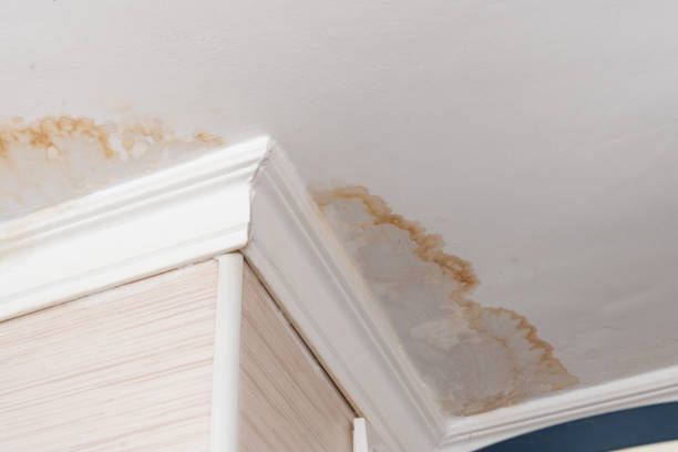Water stain and peeling plaster along the ceiling corner above white crown molding