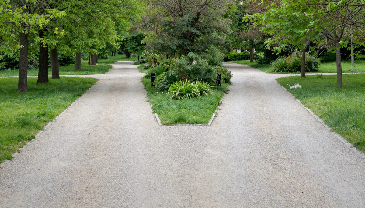 Two paths diverging through a calm green park