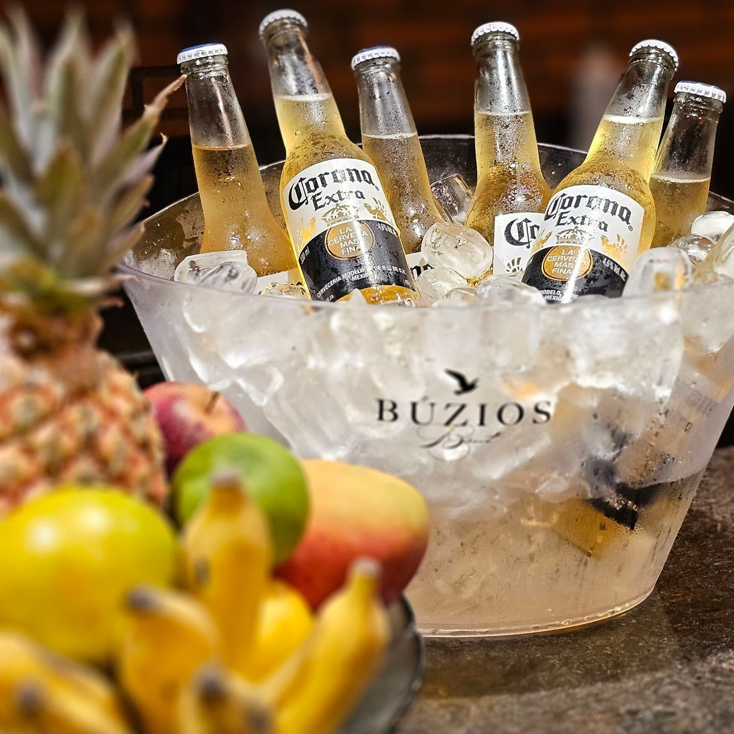 Bottles of corona beer in a bucket of ice