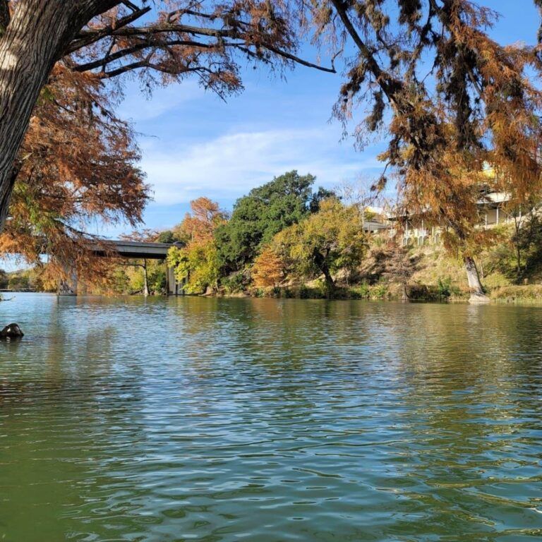 Autumn trees over a calm lake with rippling water and a bridge in the background