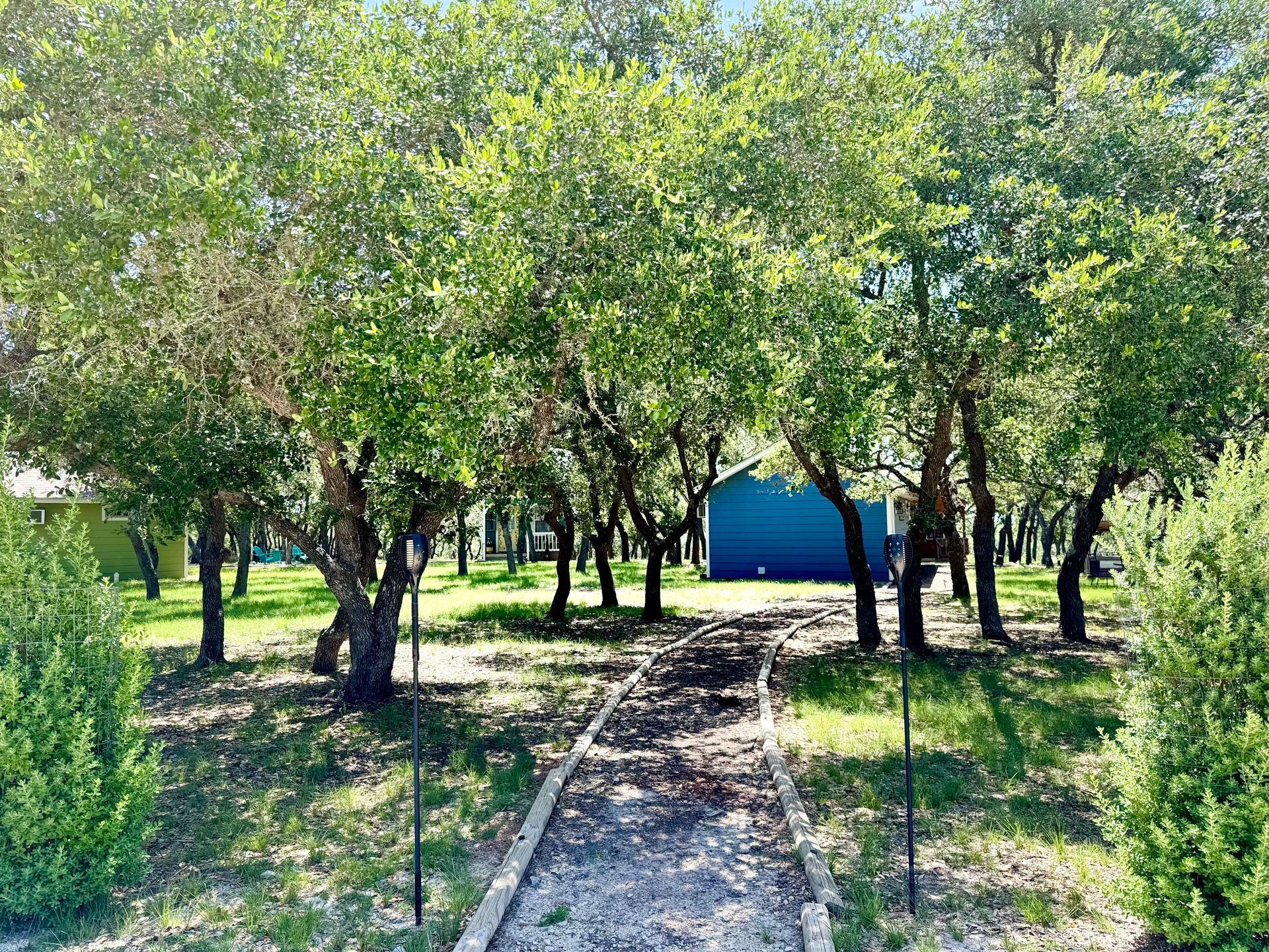 Tree-lined park path leading to a blue building on a sunny day
