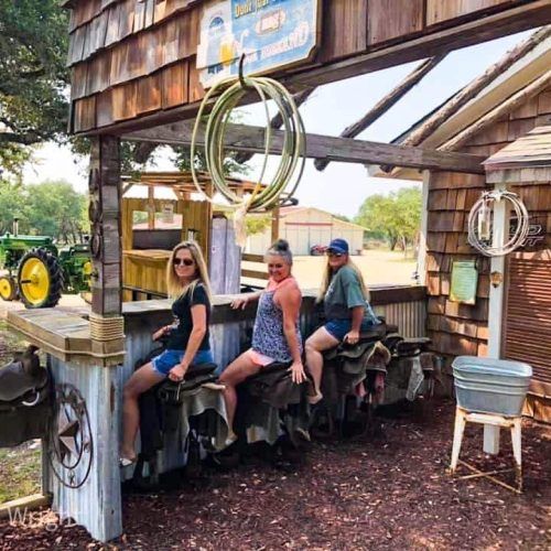 Three people sit on saddles at a rustic outdoor bar under a wooden awning.