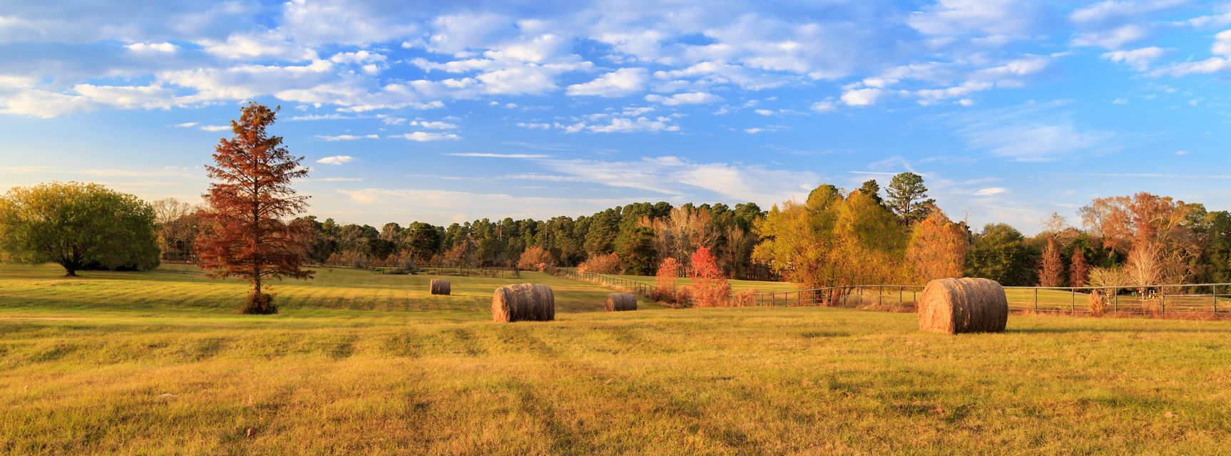 Sunny autumn field with hay bales, scattered trees, and a blue sky with clouds.