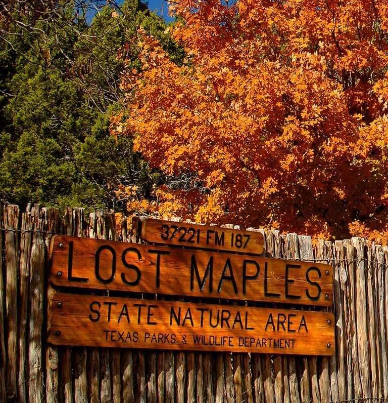 Wooden sign for Lost Maples State Natural Area amid autumn trees and a fence.