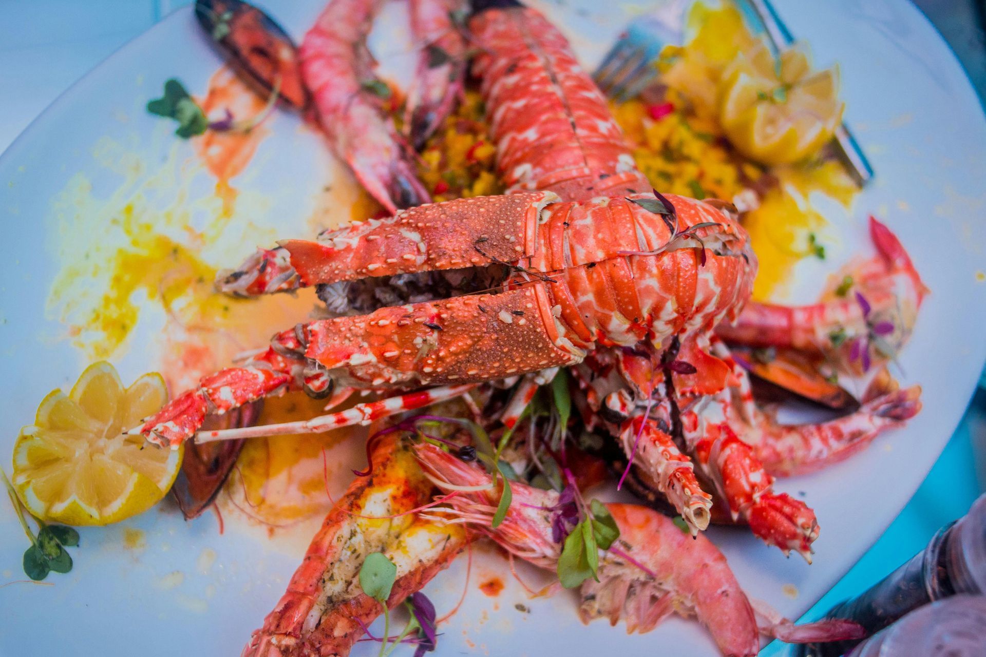 Bright red lobster on a plate with lemon wedges and herbs