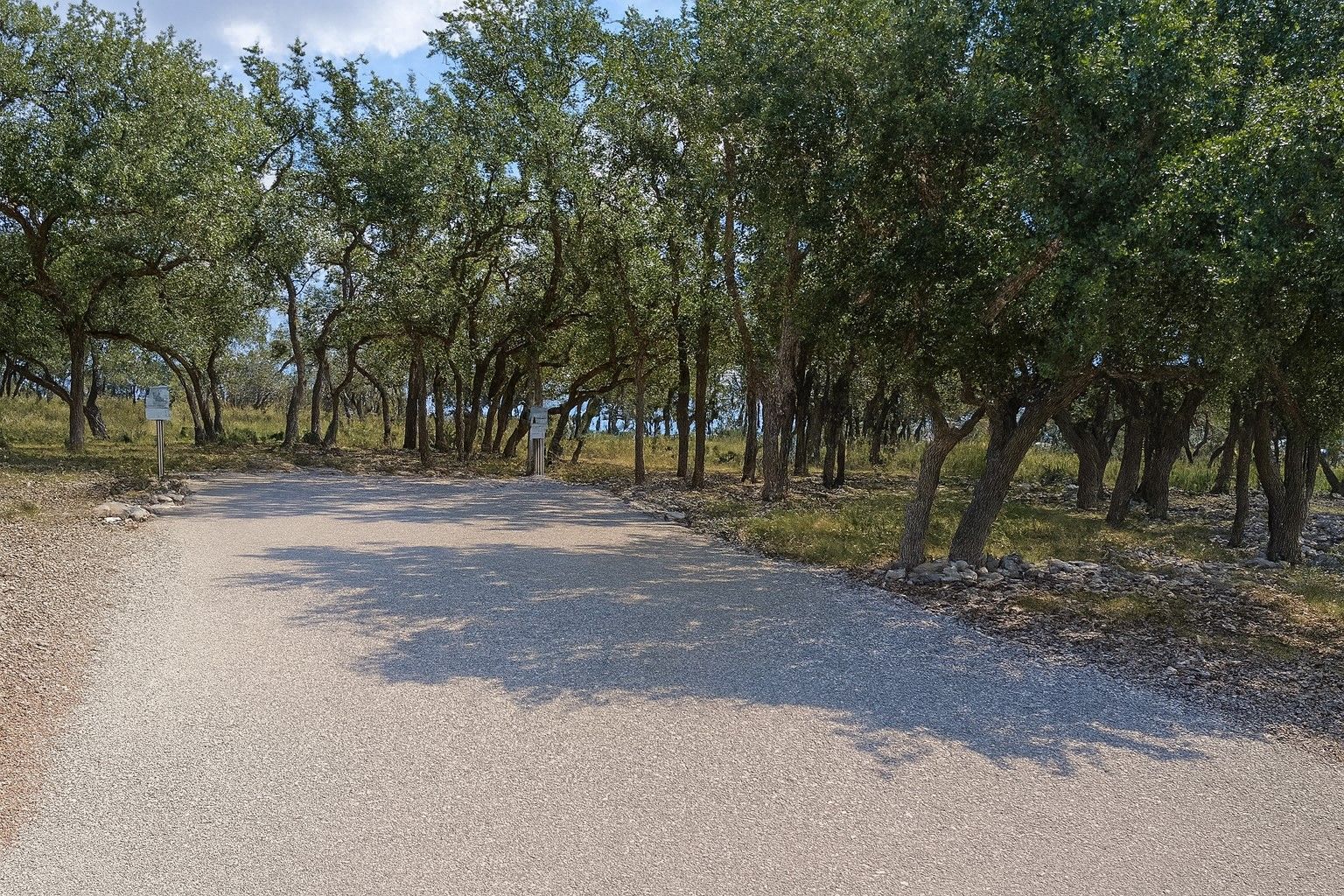 Gravel path through a wooded orchard with sunlight and scattered shadows