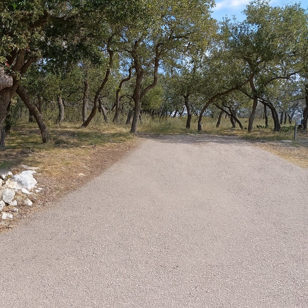 Paved road curving through a wooded area with dry grass and scattered trees on both sides
