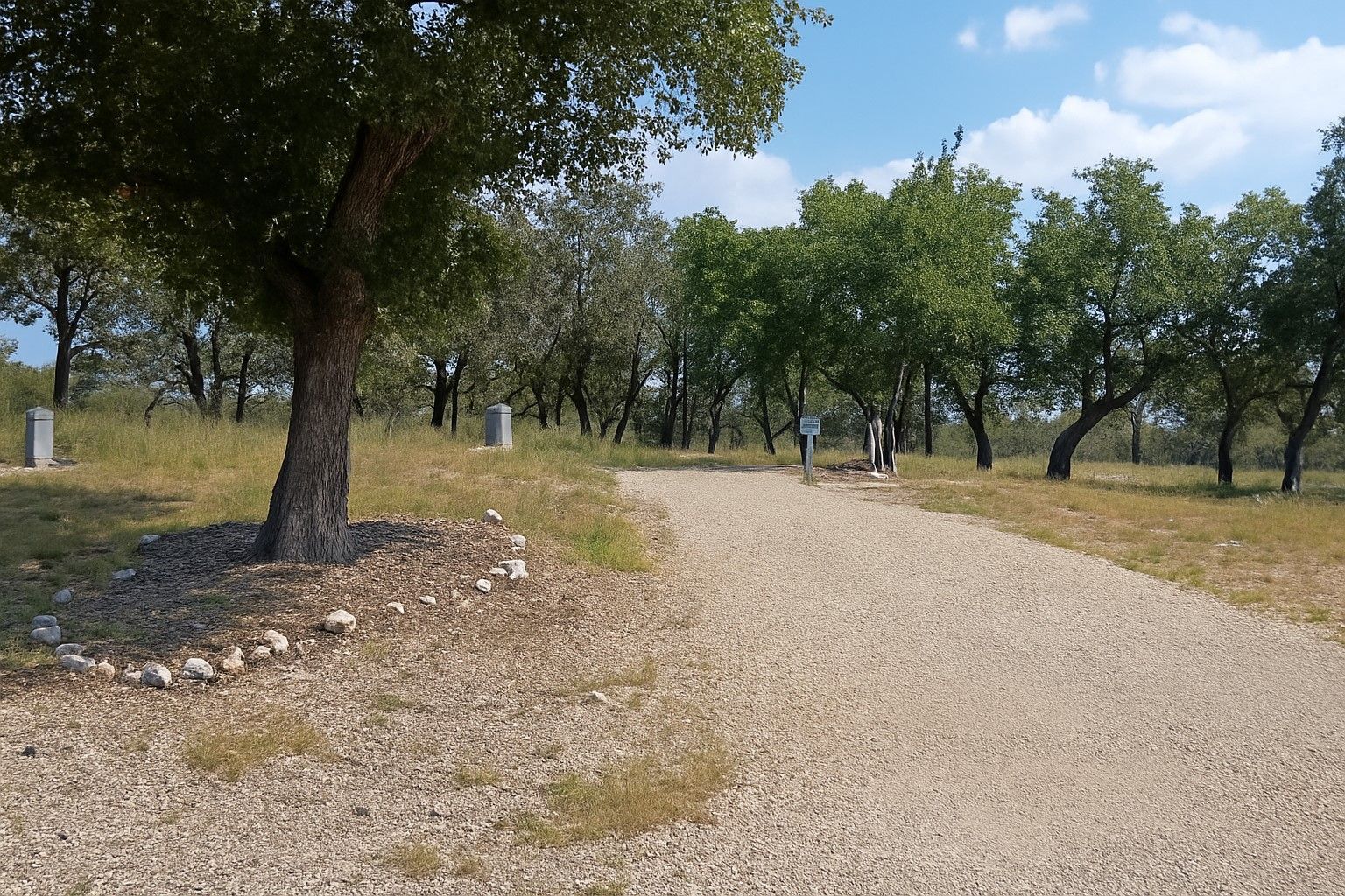 Gravel path winding through a sunny grove of trees under a blue sky