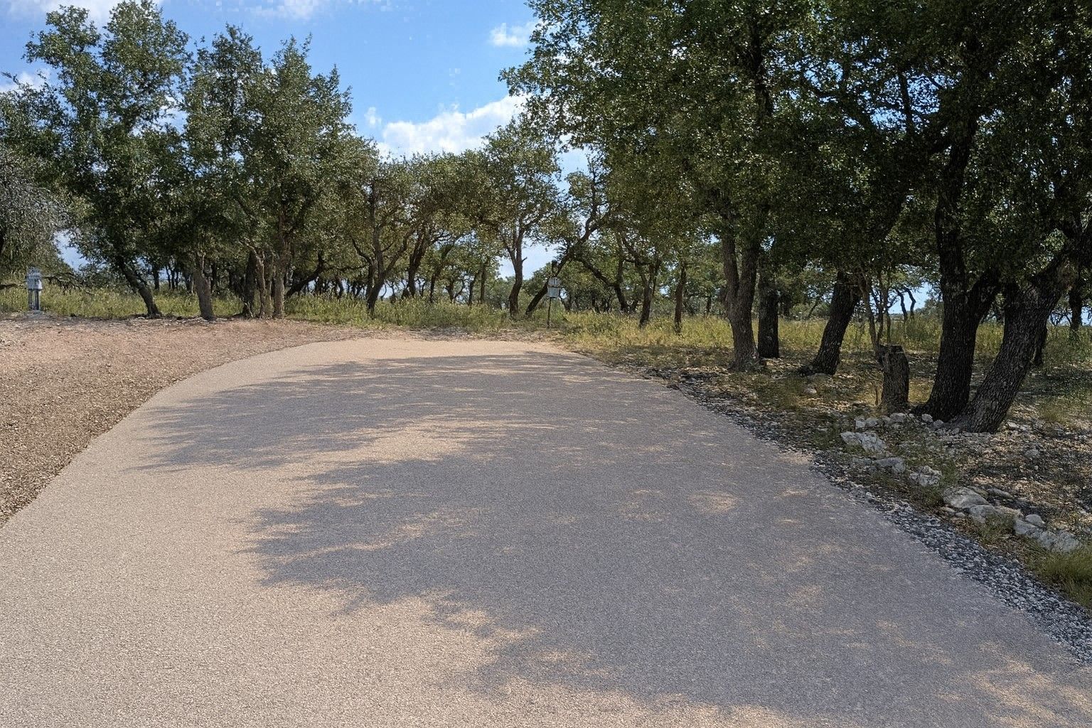 Curving paved road through a wooded area under a bright sky