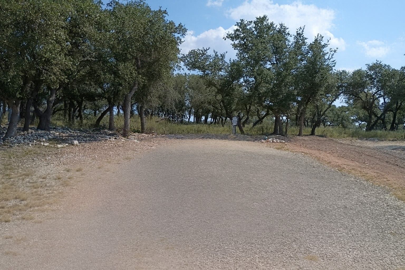 Curved gravel road bordered by trees under a clear blue sky