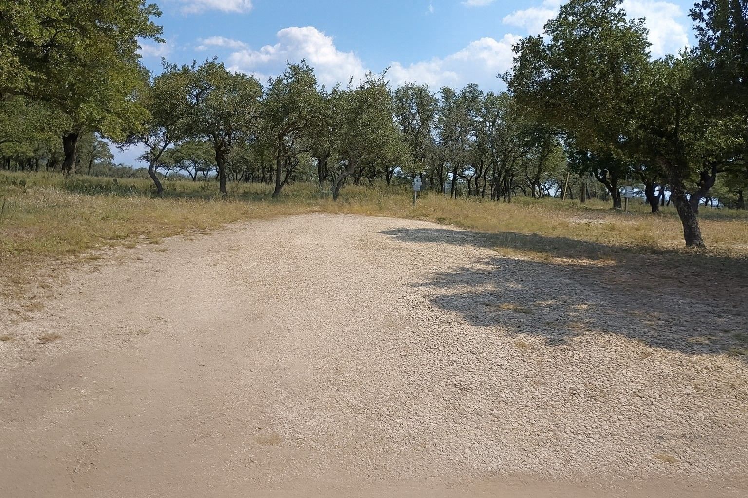 Gravel path through a sunny wooded field with scattered trees and blue sky