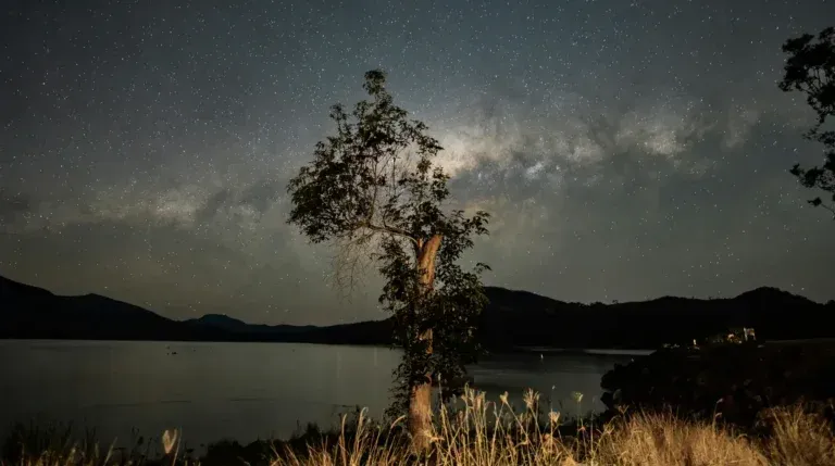 Silhouetted tree by a calm lake under a starry night sky, with mountains in the distance.