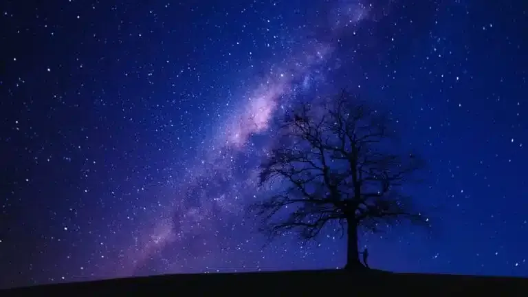 Silhouetted tree on a hill beneath a purple starry night sky and Milky Way