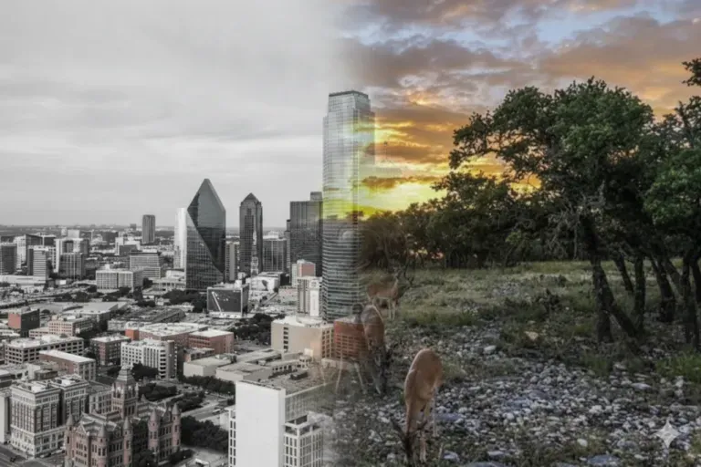 Split cityscape: grayscale skyline on left, warm sunset over grassy, tree-filled area on right