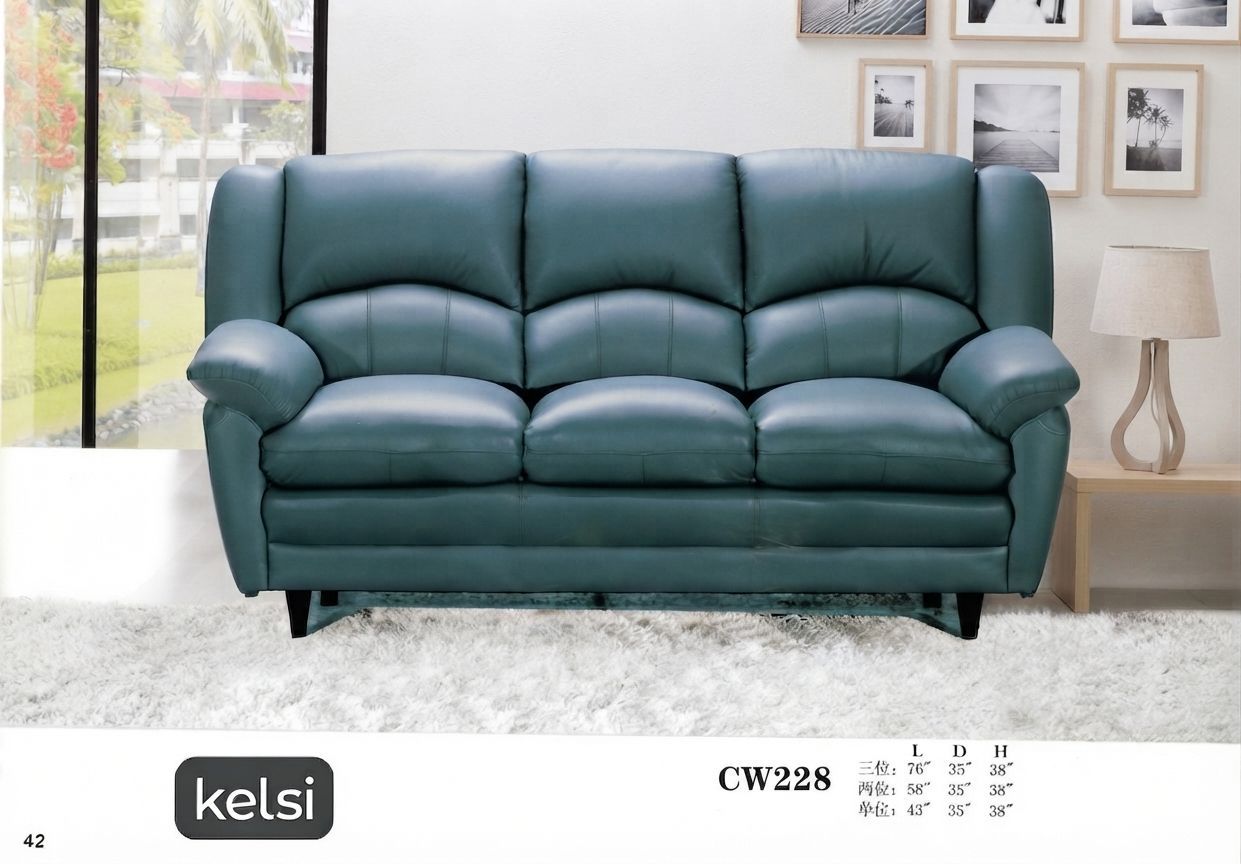 C19-CW228