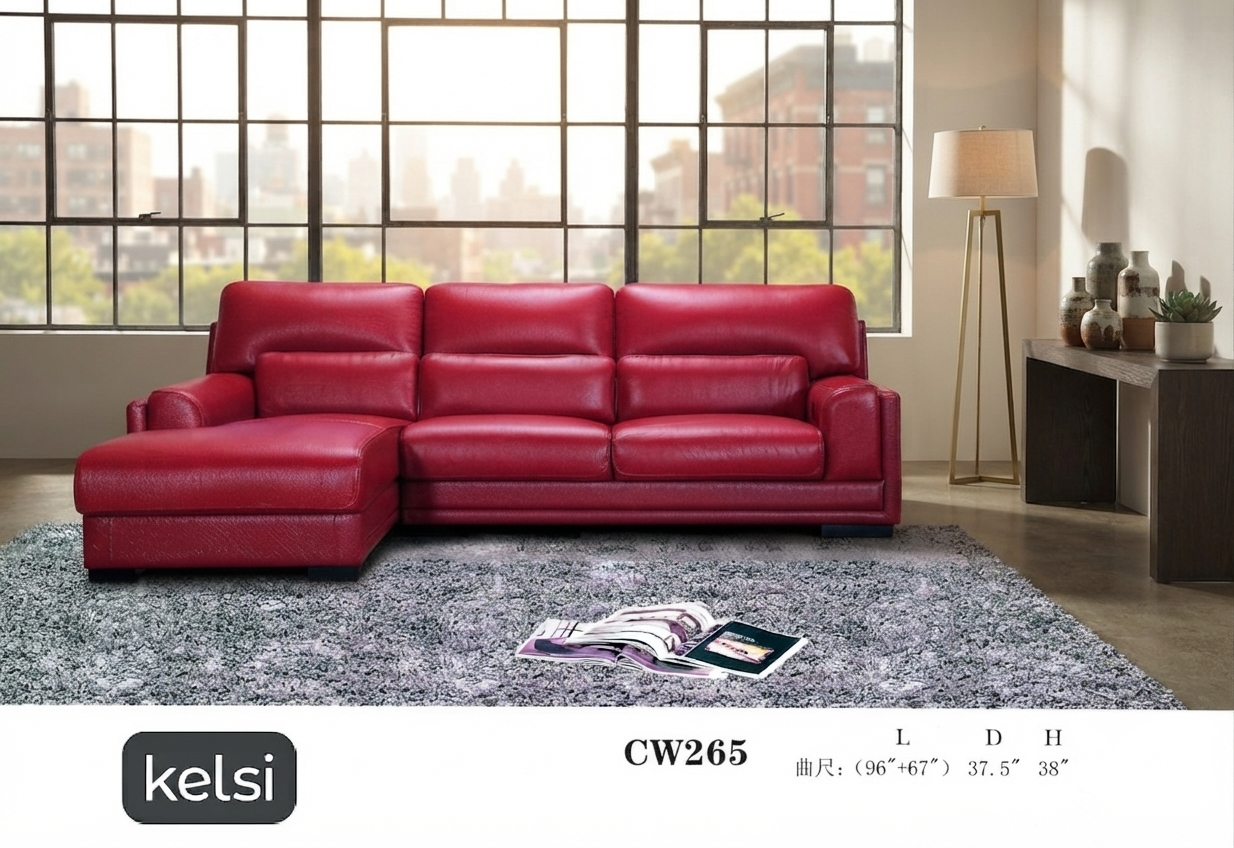 C19-CW265