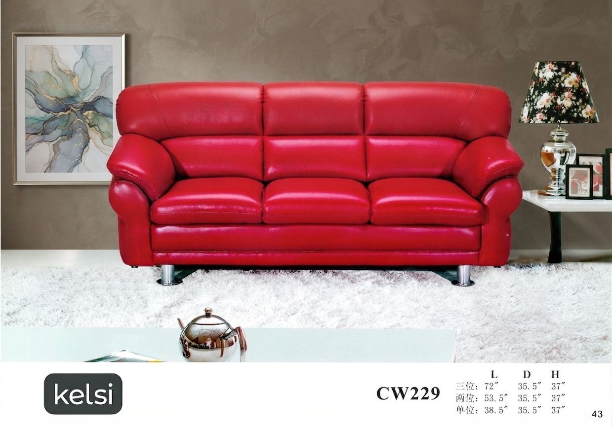 C19-CW229
